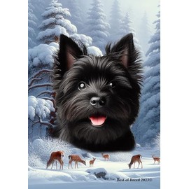 Cairn Terrier Black - Best of Breed Winter Wonderland Garden Flag 12" x 17"