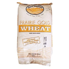 Wheat Montana - Prairie Gold Wheat Berries - 1 pack - 50lb bag
