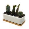 Rectangular Long White Ceramic Succulent Planter Pot with Drainage Hole