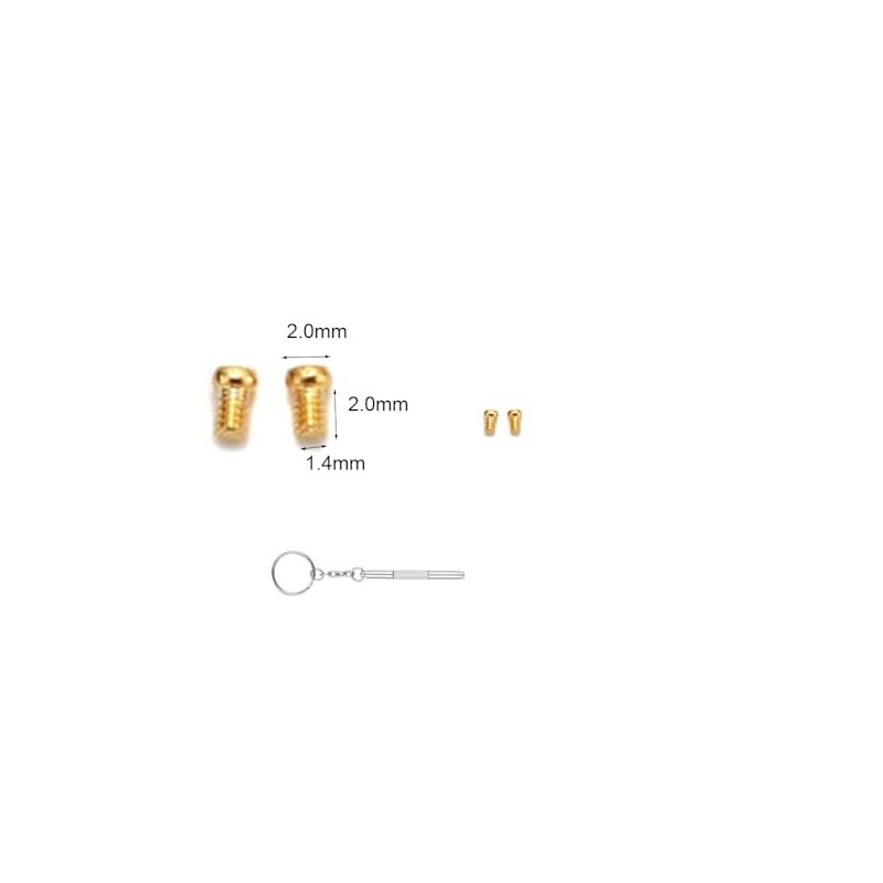 Replacement Gold Screws Hinge Screw 2Pairs for Sunglasses Eyeglass Glasses