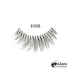 Eldora False Eyelashes H168