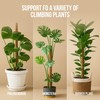 Craft911 Moss Pole Monstera Plant Support – 48” Bendable Moss