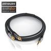 Primewire 3.5mm to 2x Cinch