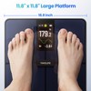 YINOLIFE Smart Scale for Body Weight, 4.3" Color Display Digital