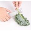 Herb Stripper Tool, Stainless Steel Herb Leaf Stripper Cilantro for