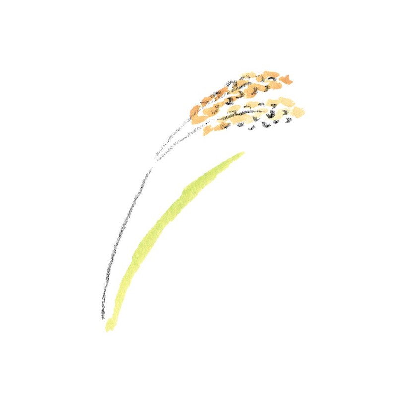 M-Mark Rice Bran Body Lotion, Refill, 9.5 oz (280 ml)