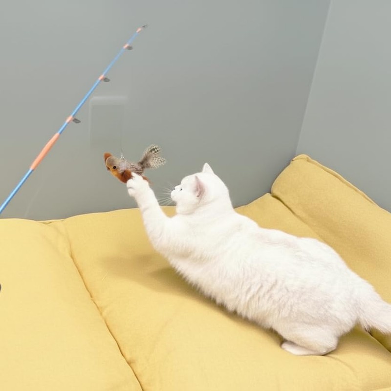 AGGER Cat Casting Fishing Pole Toy, Cat Casting Toy Set,