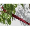 Bird B Gone Flash Tape Visual Bird Deterrent (50ft Roll)