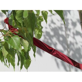 Bird B Gone Flash Tape Visual Bird Deterrent (50ft Roll) - Reflective Bird Scare Tape for Gardens, Fruit Trees, Patios & Boats - Mylar Bird Repellent for Pigeons, Woodpeckers, Seagulls & More