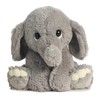 Aurora® Playful Lil Benny Phant™ Baby Stuffed Animal - Soft