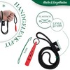 bluzelle Recall 5800 Professional Dog Whistle with Strap for Dog