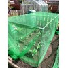 easynets Anti Butterfly Netting 2m Wide (2m x 5m) Free