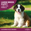 Diamond Naturals Large Breed Puppy Real Lamb Recipe Premium Dry
