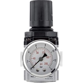 Draper 24329 Expert Regulator Unit, 1/4" BSP