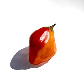 Aji Tangerine Tiger Striped Stripey Bacon Heirloom Pepper Premium Seed Packet
