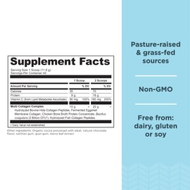 Ancient Nutrition Collagen Powder Protein, Multi Collagen Chocolate Protein Powder, 45 Servings, with Vitamin C, Hydrolyzed Collagen Peptides Supports Skin and Nails, Gut Health, 16.65oz | Ancient Nutrition