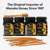 P.R.I Manuka Honey Sticks, Certified MGO 60+, Raw New Zealand