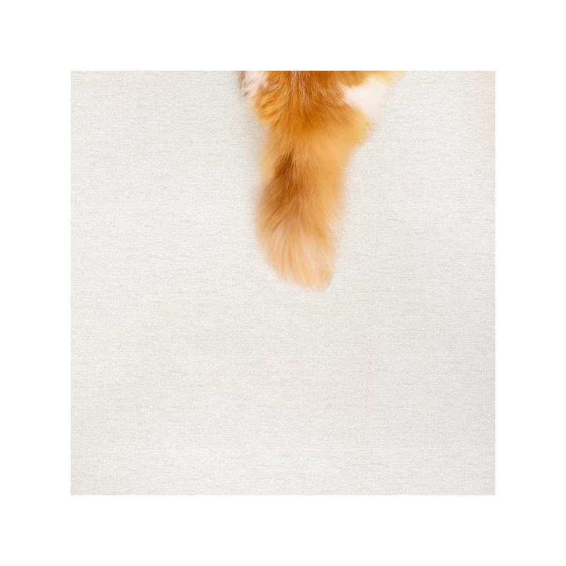 PetNoriter 셀프시공 논슬립 펫롤매트 120 묘하개끌리지 (5.5T) Self-Install Non-Slip Pet