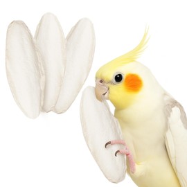 SunGrow 4 Pack Large 6-inch Cuttlefish Bones for Cockatiels, Turtles, Shrimp, Calcium for Beak Trimming, Cuddle Bone for Sharp Beaks, Calcium Block Stone for Egg-Laying Birds