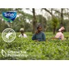 Tetley Specialty Variety Pack, Incl. 1 x English Breakfast, 1