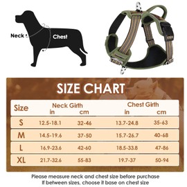 Eyein Dog Harness Small Dog, Anti Pull Adjustable Heavy Duty Pet Vest Harness with 2 Clips, Easy Control Escape Proof Puppy Harness with Soft Padded Handle Reflective for Outdoor Training Walking, S