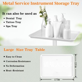 Salon Tray, Salon Rolling Tray with Adjustable Height, Salon Tray on Wheels, Salon Color Tray Ideal Use As Tattoo Tray, Medical Tray and Dental Tray