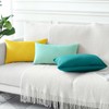 Artscope Luxury Velvet Pillow Covers Decorative Rectangle Pillowcases Soft Solid
