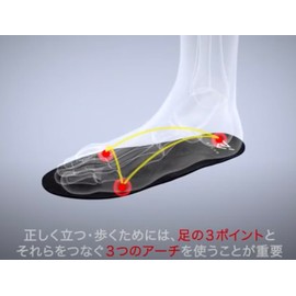 IRERUDAKE INSOLE (24.0cm)