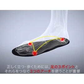IRERUDAKE INSOLE (24.0cm)