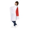 Party City Cheering Goods, Variety Goods, Hinomaru Flag, Large, 35.8