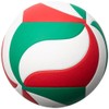 Molten V5M4000 Volleyball No. 5 Practice Ball Model