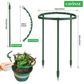 DONQL Set of 20 Plant Support Round – 24 x 14 cm, Shrub Support Made of Plastic – Adjustable Flower Holder, Shrub Support, Shrub Support, Trellis for Plants, Flowers, Vegetables