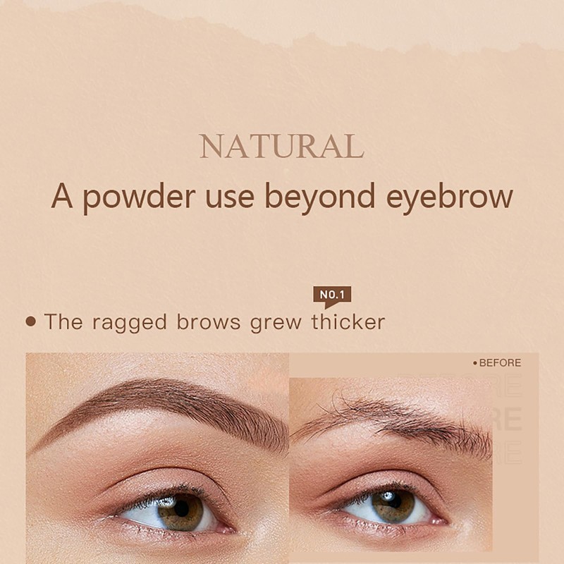 Holzsammlung Eyebrow Stamp Stencil, 2 Colours in 1 Eyebrow Powder
