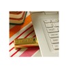 503 PPLS 64GB Nugget USB Memory