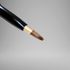 [Kumano Brush Make-up Brush] Cosmetics Extrusion Type Lip Brush, Large