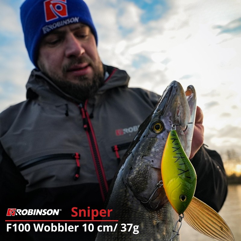 Robinson Fishing Lure for Large Predatory Fish - Jerkbait Wobbler,