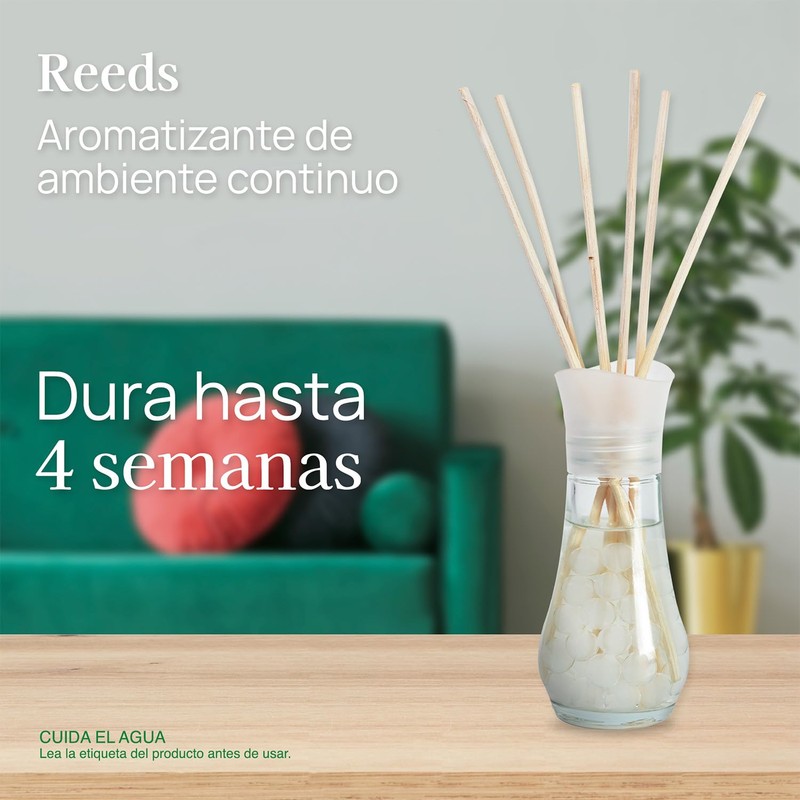 Air Wick Aromatizante Reeds, 2 pack de 30 ml c/u