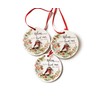 Robin Gift Remembrance Hanging Ornament, Robins Appear When Lost Loved