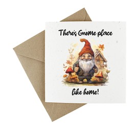 Plantable New House Wildflower Card - Eco-Friendly Seeded Congratulations On Moving Greeting Card - Theres Gnome Place Like Home