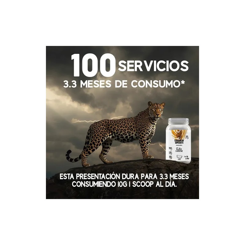 Cla + Carnitina Suplemento Stormcheetah 1kg Polvo 100servis