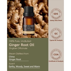NATURE HUE Ginger Root Essential Oil - 10 mL (1/3 oz) - Pure, Natural, Therapeutic Grade - for Diffuser, Massage, Skin & Hair Care - Warm and Spicy Aroma