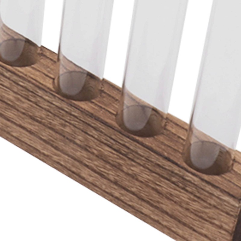 Plant Propagation Station, Plant Propagation Tubes Minimalist Look for Desktop