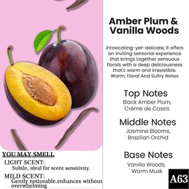 2 Pack Pick 80+Scents Car Air Freshener Hanging Car Diffuser Made in USA Last for 120 Days:_B6-Bay Rum