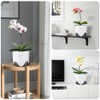 Meshpot 5 inch Orchid Pots with Holes,Set of 2,Double Layer