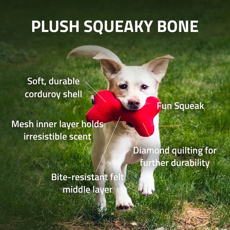 PLAYOLOGY Plush - Squeaky Bone - Large - Engaging All-Natural