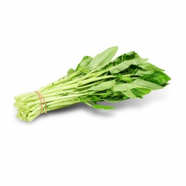 White 250+ White Stem Water Spinach seeds( rau muống trang ) ong choy kang kong