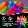ninesung Powder Coating Paint for Metal Surfaces | Car Paint