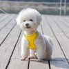 Harness Small Sized Dog, No-Pull Puppy Vest with Leash Set,