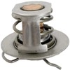 Pentair 38000-0007S Thermal Regulator with Spring Clip Replacement Pool and