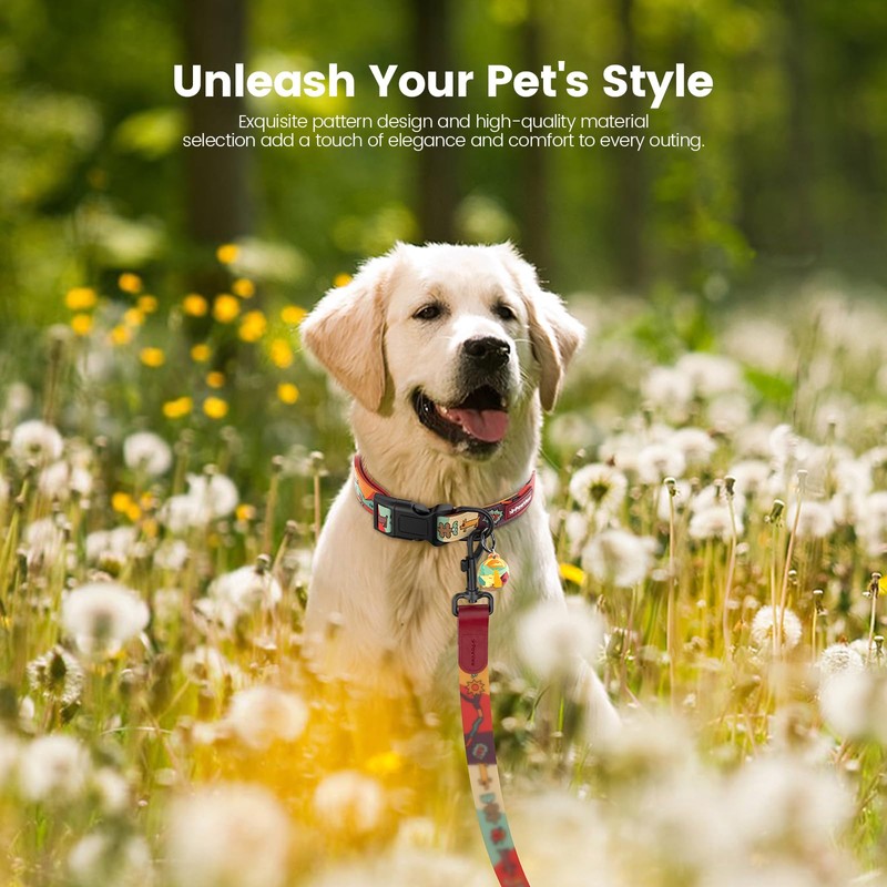Pawview Puppy Collar and Lead sets with Dog ID Tag
